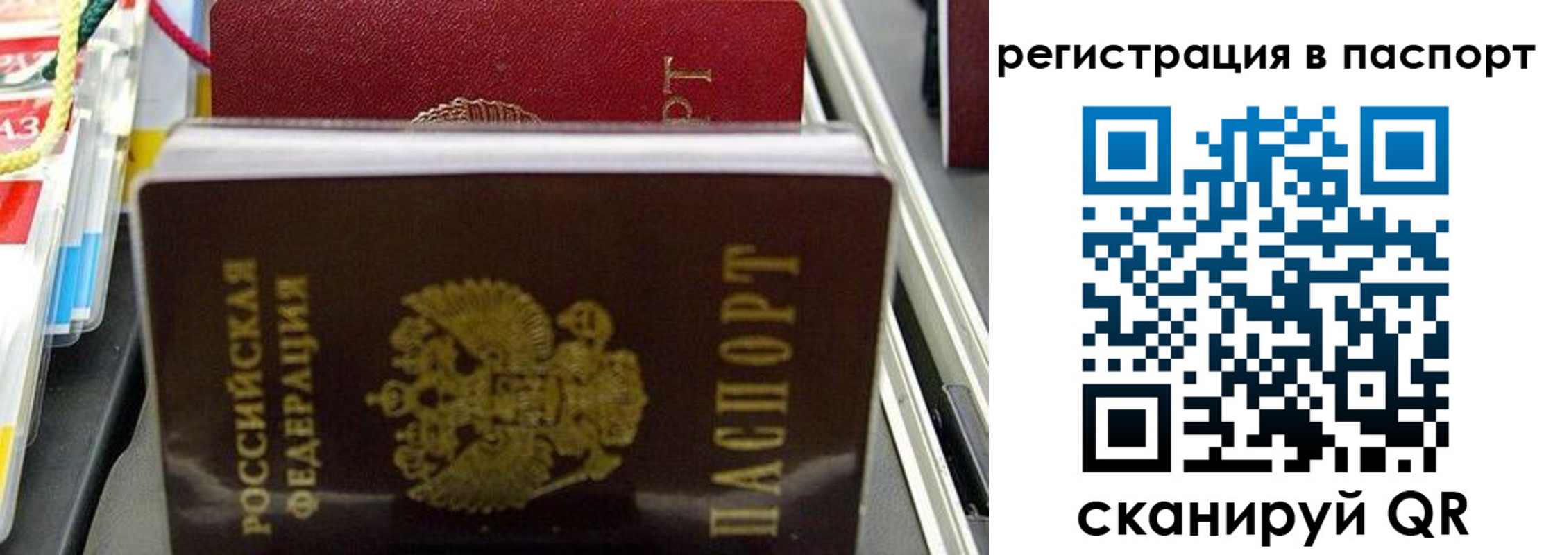 прописка для школы в Оренбургской области